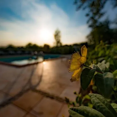 Mit Pool Fuer 29 Personen Ca- 800 M2 By Interhome Ponzano di Fermo