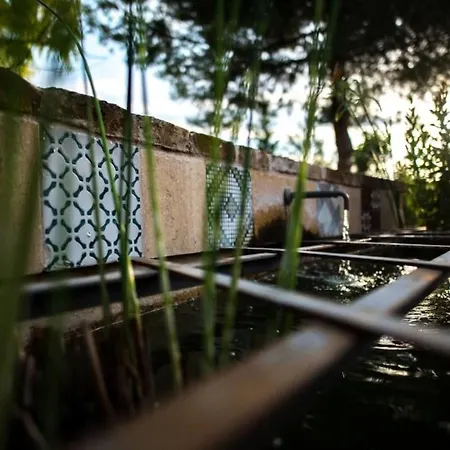 Ferienhaus Mit Pool Fuer 29 Personen Ca- 800 M2 By Interhome *