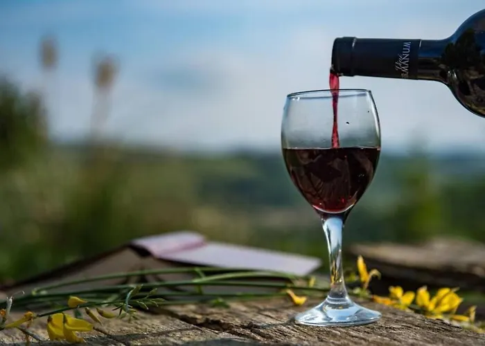 Mit Pool Fuer 29 Personen Ca- 800 M2 By Interhome Ponzano di Fermo