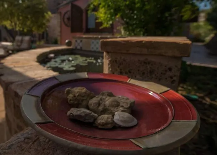 Ferienhaus Mit Pool Fuer 29 Personen Ca- 800 M2 By Interhome