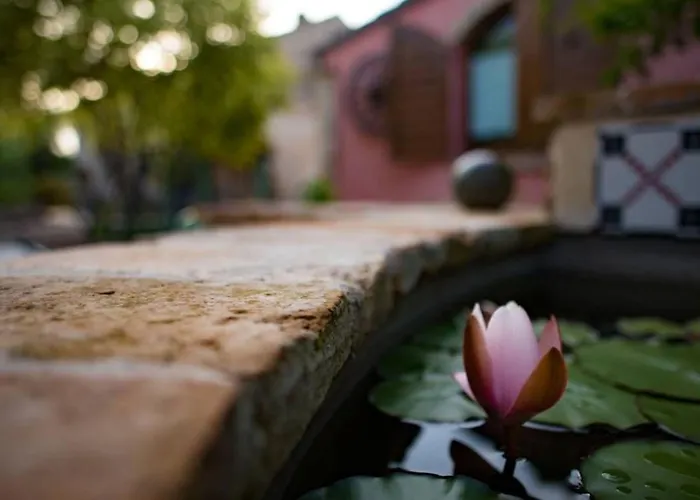 Mit Pool Fuer 29 Personen Ca- 800 M2 By Interhome *