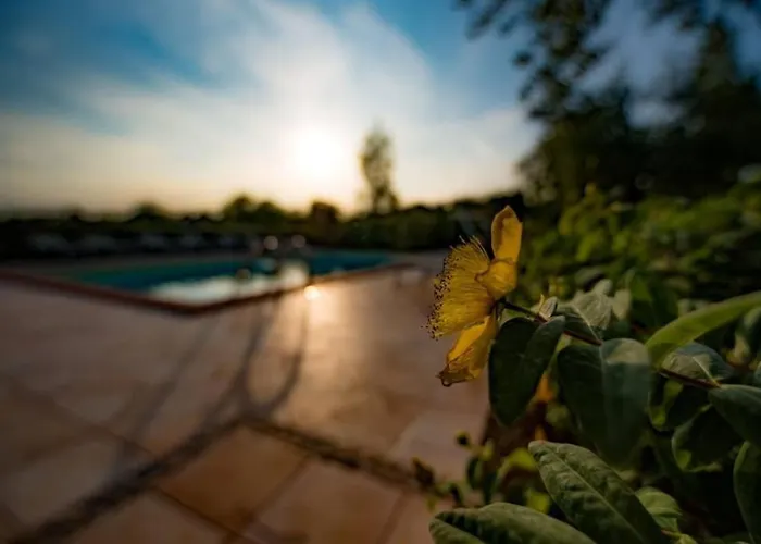 Mit Pool Fuer 29 Personen Ca- 800 M2 By Interhome Ponzano di Fermo