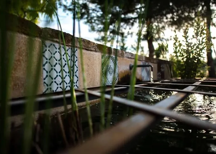 Ferienhaus Mit Pool Fuer 29 Personen Ca- 800 M2 By Interhome *